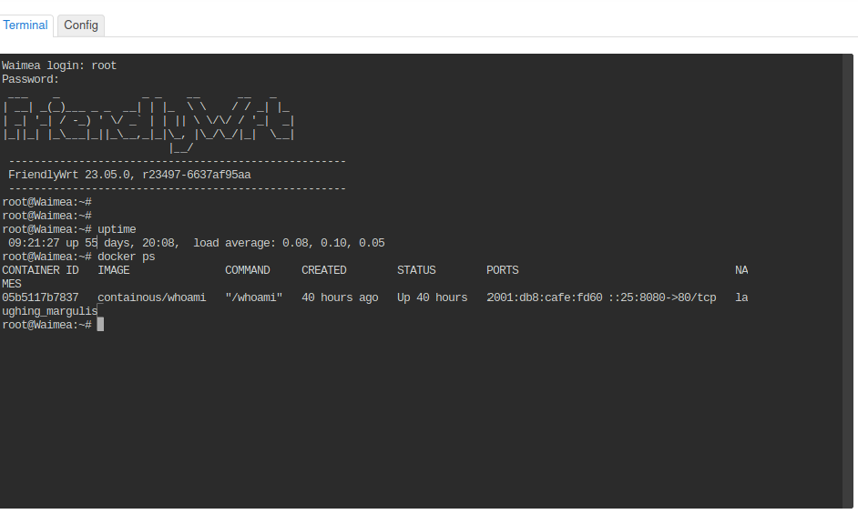 Terminal in LuCI