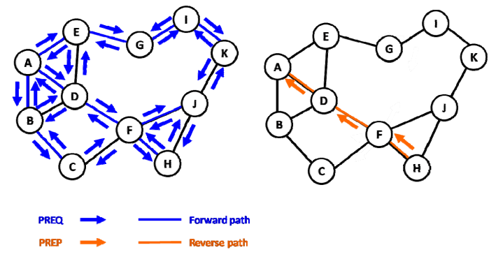 Wireless Mesh Path Discovery