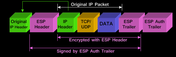 IP-in-IP